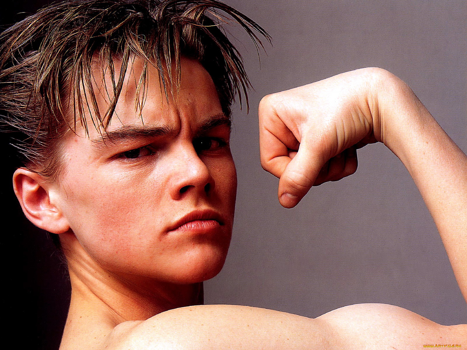 leonardo, dicaprio, 
